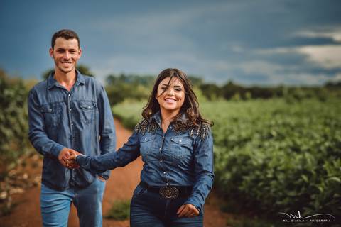 casal-country-vacas-milho'