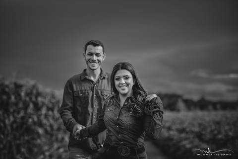 casal-country-vacas-milho'