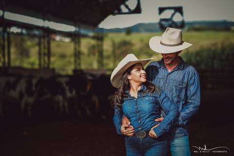 casal-country-vacas-milho'