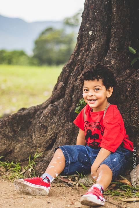 criança pequena posa para foto sentado na árvore'