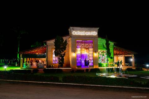 cafezal em flor em Alfenas
'