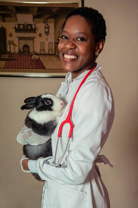 business, emily fanti, ensaio profissional, fotografia de empresa, fotografia de estúdio, fotografia de negócios, negócios, pet, retrato corporativo, retrato de negócios, retrato em são paulo, retrato profissional, veterinária, vet, pet care'