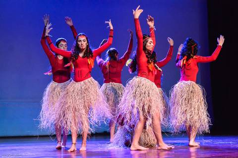 apresentação de teatro, apresentação escolar, cobertura fotográfica, colegio integrado, dança, emily fanti, espetáculo, espetáculo de dança, fotografia de palco, fotografia de teatro, musical, palco, performance, são paulo'