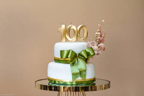 aniversário, aniversário de 100 anos, bday, cobertura fotográfica de família, cobertura fotográfica em são paulo, emily fanti, fotografia afetiva, fotografia de família, fotografia documental, história de familia, legado, eterno, álbum de família'