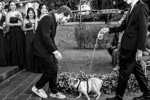 casamento, casamento ao ar livre, casamento de dia, cobertura de casamento, fotografo de casamento, foto de casamento em são paulo, fotografia de casamento, fotografia de casamento em sp, fotografia documental, fotografia documental de casamento, fanti'