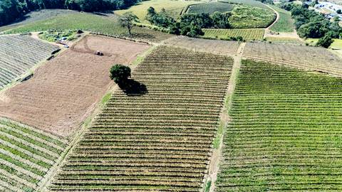 '