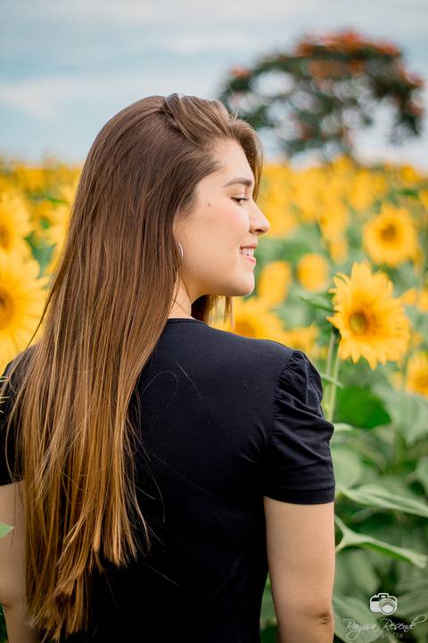 foto de perfil de uma mulher no campo de girassóis da alta genetics do brasil'
