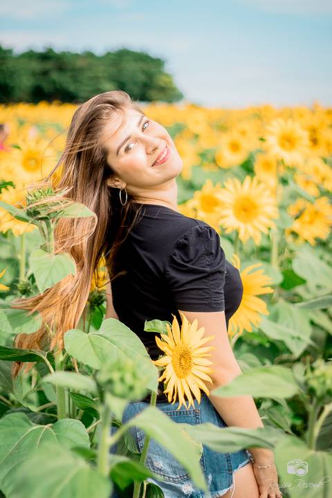 foto de perfil de uma mulher no campo de girassóis da alta genetics do brasil'