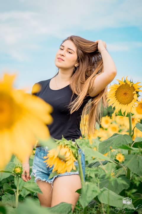 foto de perfil de uma mulher no campo de girassóis da alta genetics do brasil'