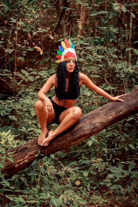 foto em tronco de árvore'