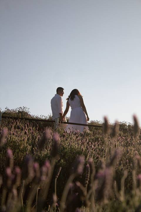 Ensaio de casal no campo de lavandas'
