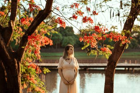 Ensaio fotográfico da gestação ao ar livre, fotógrafa de gestante ar livre, fotógrafa gestante natureza, ensaio de gestante externo, São José do Rio Preto, Ana Rocchi Fotografia'