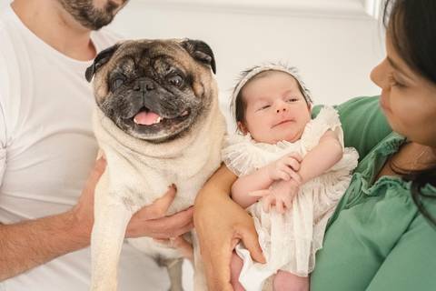 Fotógrafa Newborn - Ensaios de bebês e recém-nascidos, São José do Rio Preto - Ana Rocchi Fotografia'