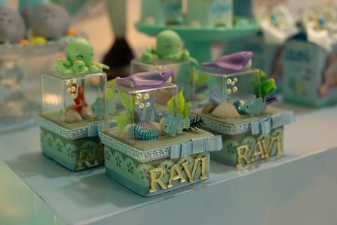 Fundo do Mar do Ravi'