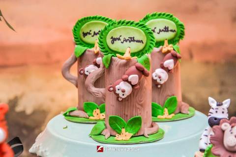 Safari do José Arthur '