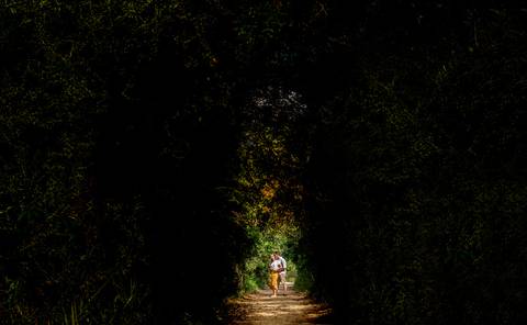 ensaio de casal na mata'