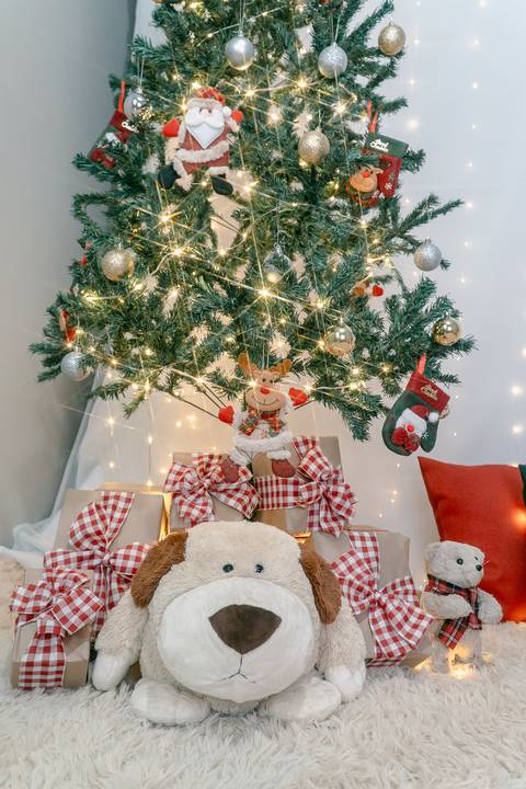 Cenário de Natal com almofadas, urso de pelúcia, arvore de natal, caixas de presente e enfeites. Em Piraquara e Curitiba Paraná'