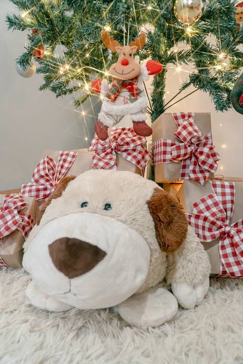 Cenário de Natal com almofadas, urso de pelúcia, arvore de natal, caixas de presente e enfeites. Em Piraquara e Curitiba Paraná'