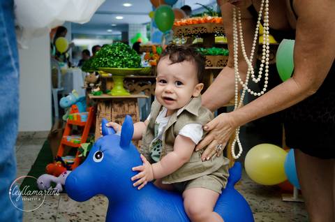 Ensaio temático dinossauro Festa Infantil Bh Festa dinossauro Fotografia de família Ensaio bebê '
