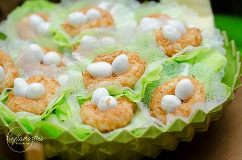 Ensaio temático dinossauro Festa Infantil Bh Festa dinossauro Fotografia de família Ensaio bebê '