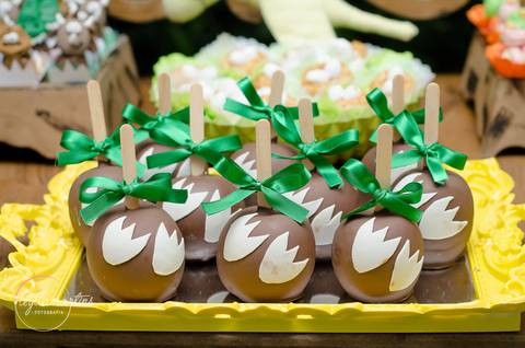 Ensaio temático dinossauro Festa Infantil Bh Festa dinossauro Fotografia de família Ensaio bebê '