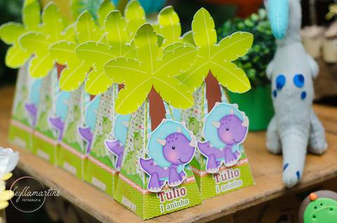 Ensaio temático dinossauro Festa Infantil Bh Festa dinossauro Fotografia de família Ensaio bebê '