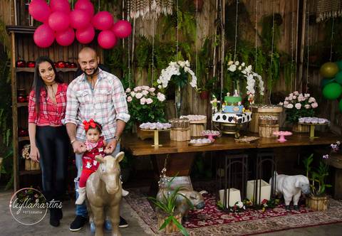 FESTA INFANTIL BH FESTA TEMA FAZENDINHA MENINA  BOOK BEBÊ 10 MESES ENSAIO BEBÊS '