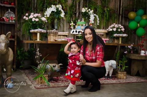 FESTA TEMA FAZENDINHA MENINA  BOOK BEBÊ 10 MESES ENSAIO BEBÊS '