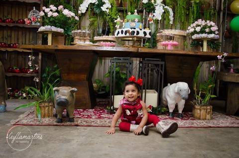 ENSAIO FAZENDINHA BH FESTA INFANTIL BH  BUFFET INFANTIL CONTAGEM'