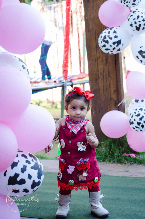 ENSAIO FAZENDINHA BH FESTA INFANTIL BH  BUFFET INFANTIL CONTAGEM'