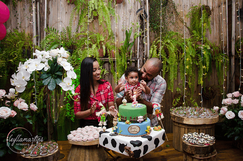 FESTA TEMA FAZENDINHA MENINA  BOOK BEBÊ 10 MESES ENSAIO BEBÊS '