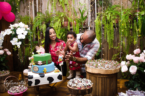 FESTA TEMA FAZENDINHA MENINA  BOOK BEBÊ 10 MESES ENSAIO BEBÊS '
