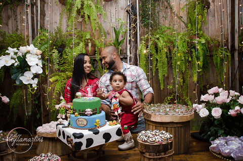 FESTA TEMA FAZENDINHA MENINA  BOOK BEBÊ 10 MESES ENSAIO BEBÊS '
