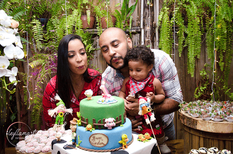 FESTA TEMA FAZENDINHA MENINA  BOOK BEBÊ 10 MESES ENSAIO BEBÊS '