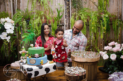 FESTA TEMA FAZENDINHA MENINA  BOOK BEBÊ 10 MESES ENSAIO BEBÊS '