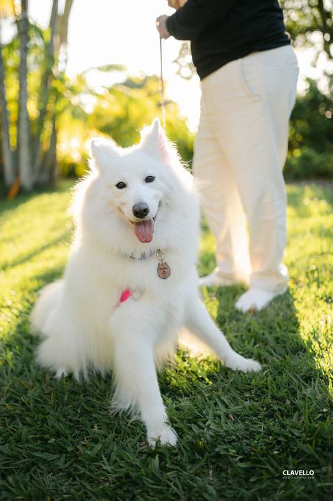noiva, noiva, casamento rj, fotografo de casamento rj, fotografo de casamentos, , fotografo de casamento niteroi, melhores fotos de casamento, fotografo de casamento niterói, clavello, solar real, casamento ao ar livre, casamento diurno'