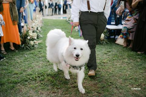 noiva, noiva, casamento rj, fotografo de casamento rj, fotografo de casamentos, , fotografo de casamento niteroi, melhores fotos de casamento, fotografo de casamento niterói, clavello, solar real, casamento ao ar livre, casamento diurno'