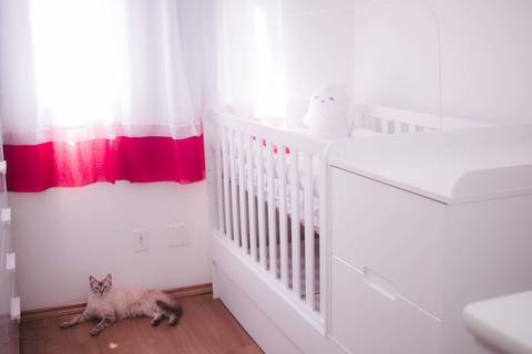 ensaio gestante, fotos de gestante, book gestante, foto de família, ensaio com animais, gatos, gatinho'