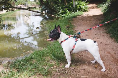 fotografia de familia, família, fotografia de família, fotografia no parque, ensaio família, ensaio lifestyle, ensaio no parque, book infantil, fotos infantis, fotógrafa em são paulo, fotografia, soraia correa, soraia correa fotografia, book família'