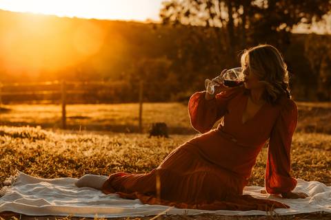 Ensaio de Família. Foto com filhos. Fotos na natureza. Ensaio de aniversário. Fotos de aniversário. Fotos em Bom Despacho. Renata Bridges.'