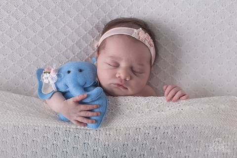 bebê recem nascido newborn segurando elefantinho elefante e coberta cobertinha creme rosa e azul brasília'