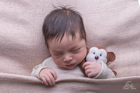 ensaio newborn em brasilia newborn dorminhoco segurando cobertinha manta com bichinho macaco manta marrom'
