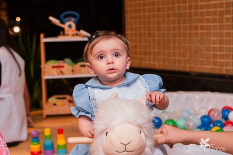 festa infantil 01 ano decoração brasilia df distrito federal book fotografo fotógrafa fotografa fotografia melhor leticia franco letícia lua nova art arte foto alice no pais das maravilhas'