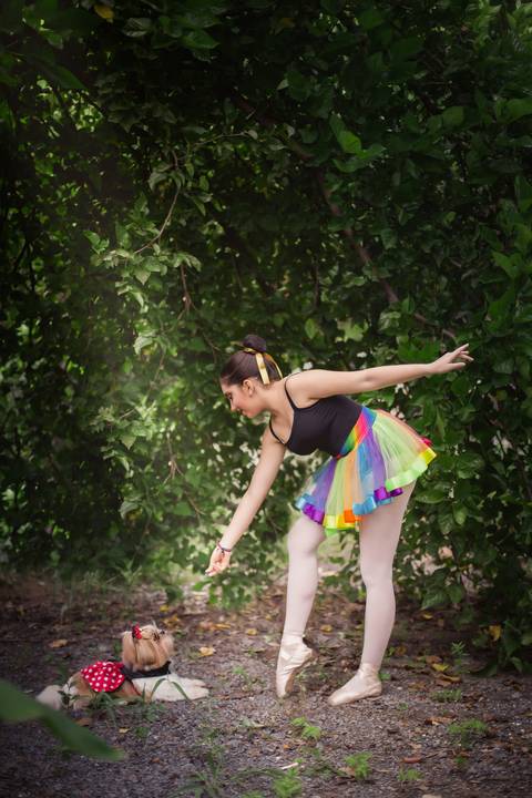 ensaio de ballet bailarina bale '