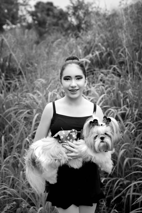 ensaio de ballet bailarina bale '