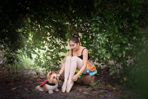 ensaio de ballet bailarina bale '