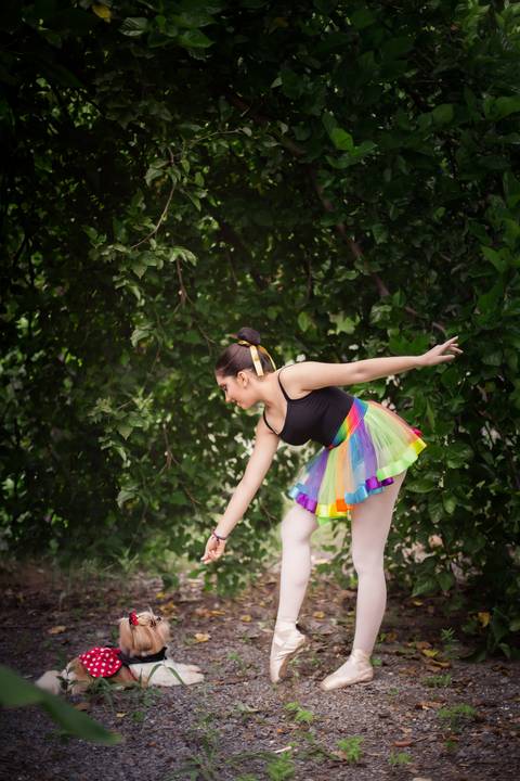 ensaio de ballet bailarina bale '