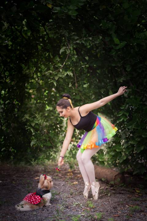 ensaio de ballet bailarina bale '