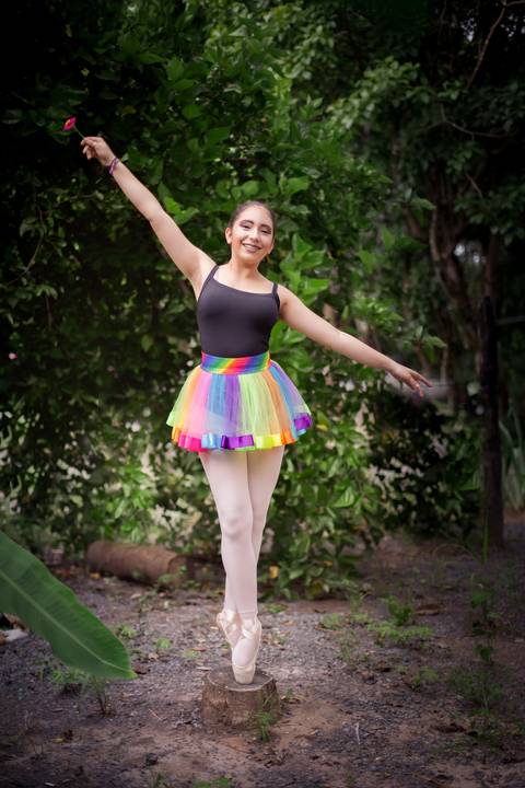 ensaio de ballet bailarina bale '