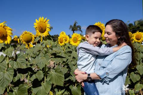 ensaio familia lugar dos sonhos brasilia fotografa fotografo fotógrafa brasília df distrito federal df distrito federal book melhor leticia franco letícia lua nova art arte foto girassois pad df paddf'